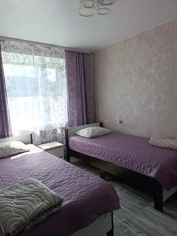 Уютный дом в Пушкиногорье