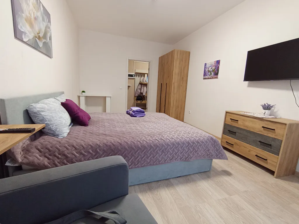 1-комнатная Квартира — аренда посуточно в Мурино