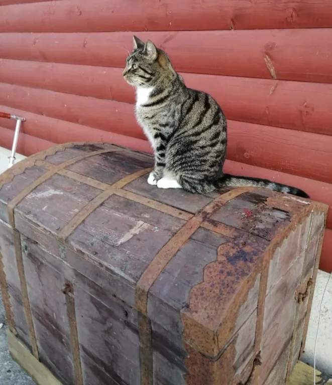 Коттедж Дом с кирпичным камином — Луга