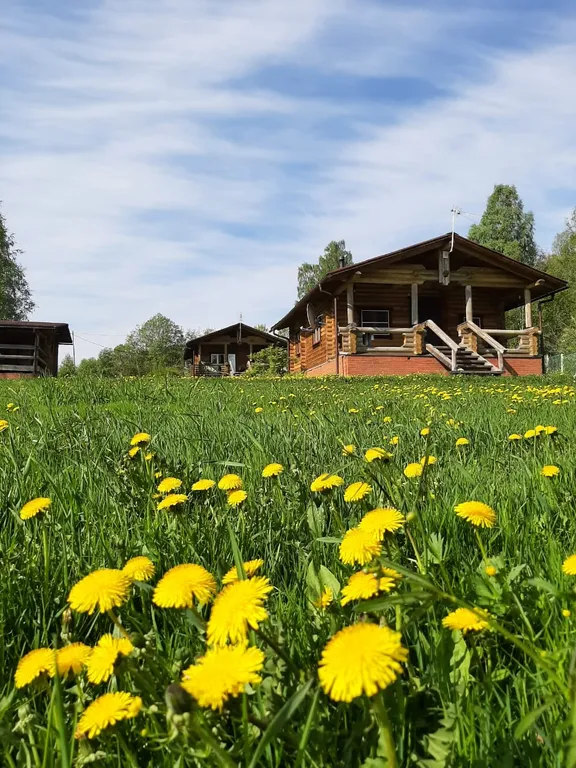 Уютный коттедж на берегу великолепного озера Ханкасъярви