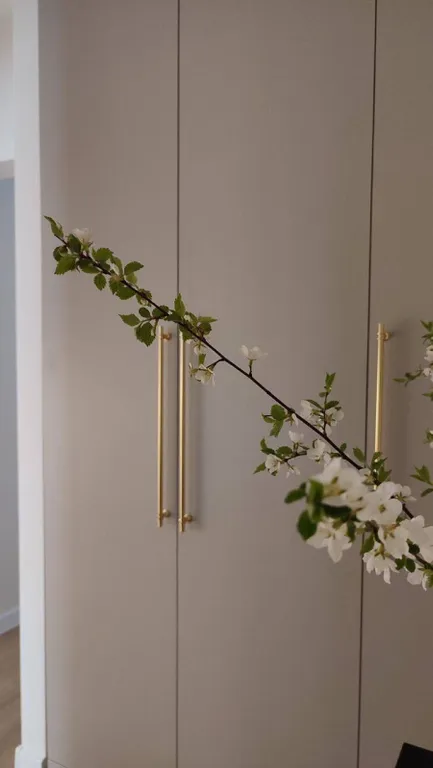 Уютная и современная квартира в исторической части города