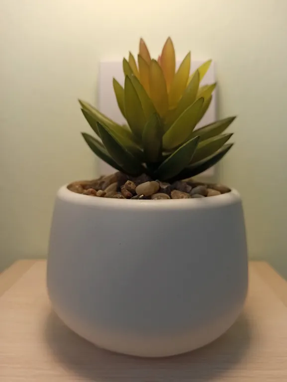 Студия Мята