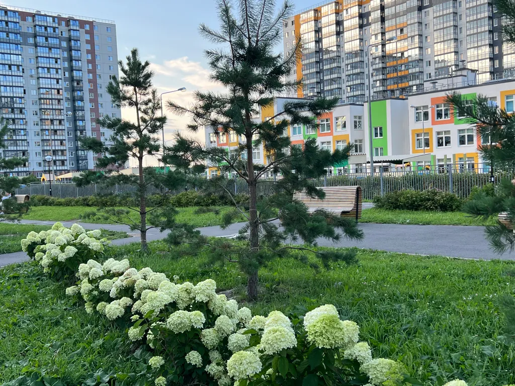 Стильные и просторные апартаменты