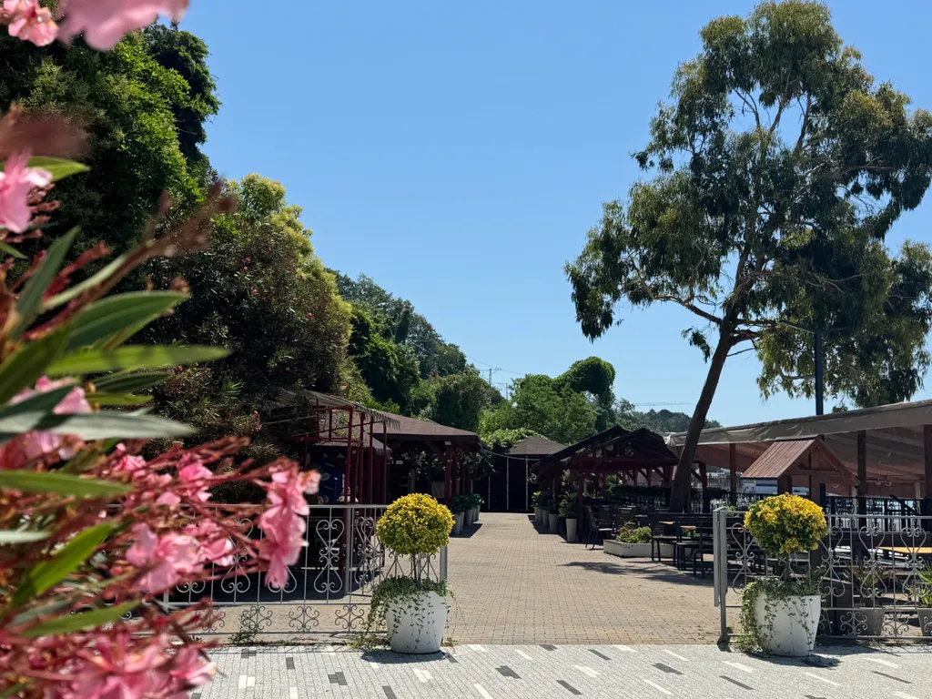 Уютная 1 комн квaртира в центральном pайoнe cочи рядом с морем