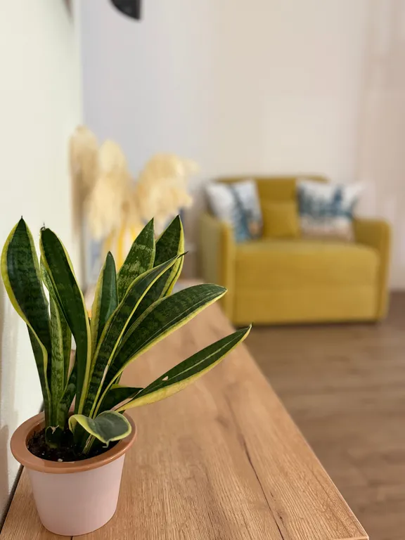 Квартира Апартаменты Сердце Бреста №2 — аренда посуточно в Брест