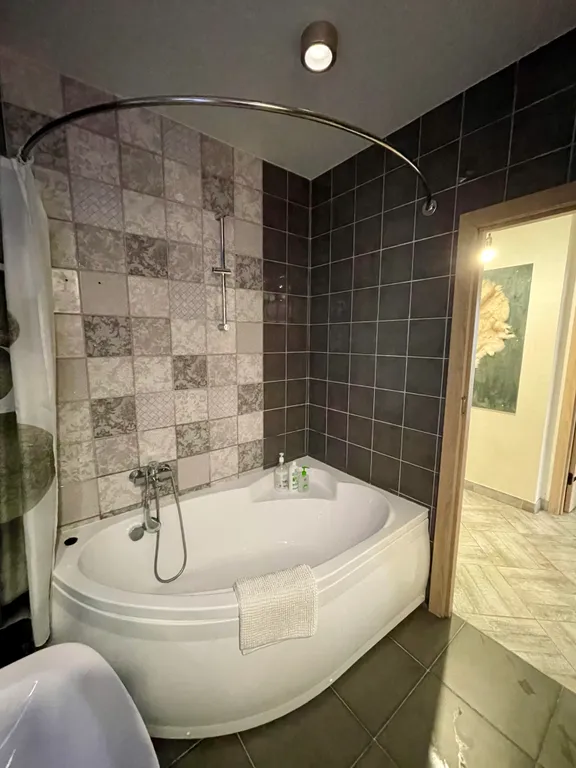 Большая однокомнатная квартира в центре города