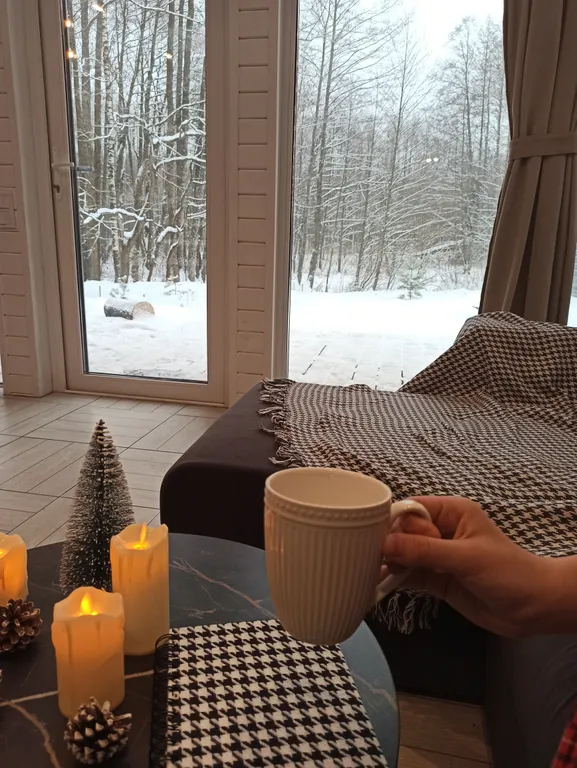 Сканди люкс, дом с камином и видом на лес. LESNOVO