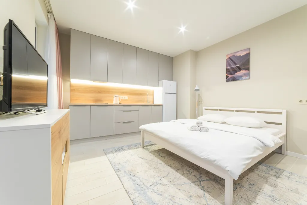 Квартира студия Минск Мир с балконом