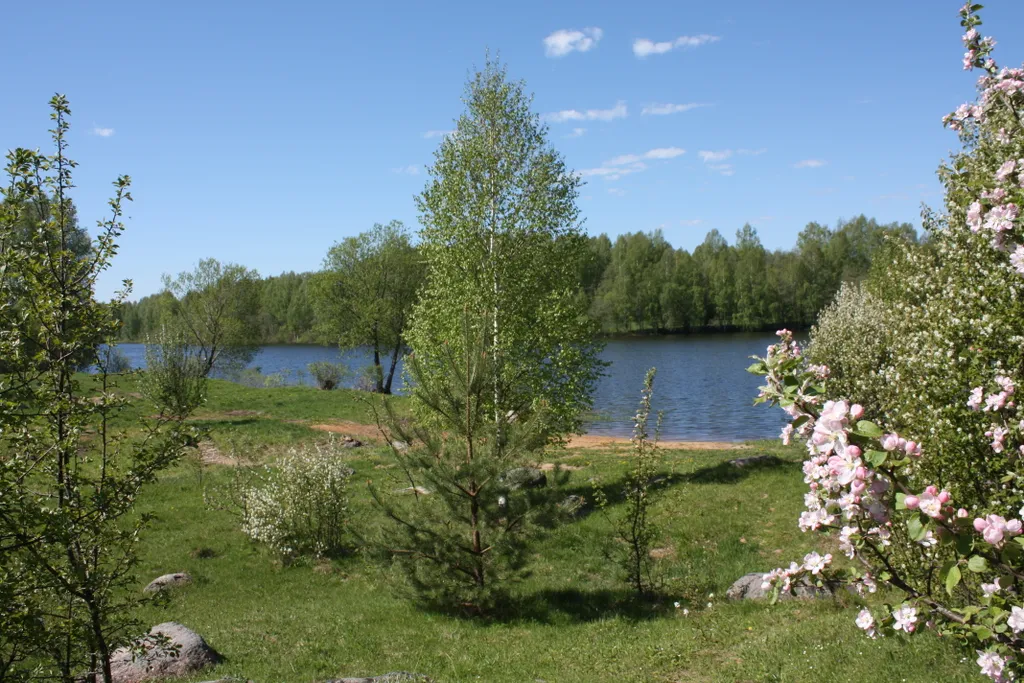 Шале с сауной на берегу реки