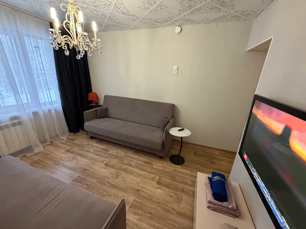 Просторная однокомнатная квартира в пяти минутах от ИК5