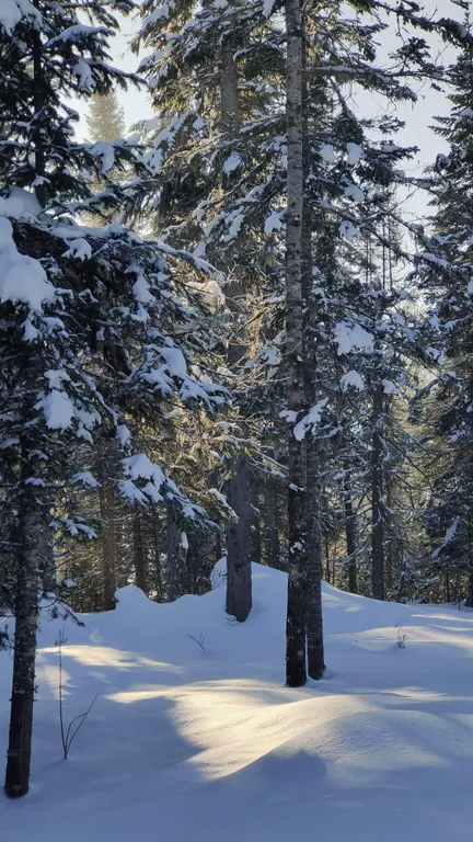 Коттедж 2-комнатный Дом — Шерегеш