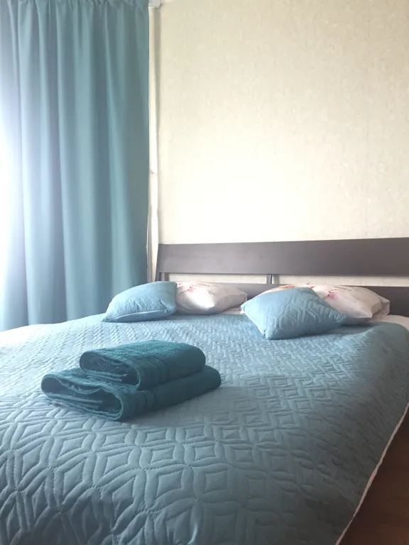 Уютная квартира на Парнасе