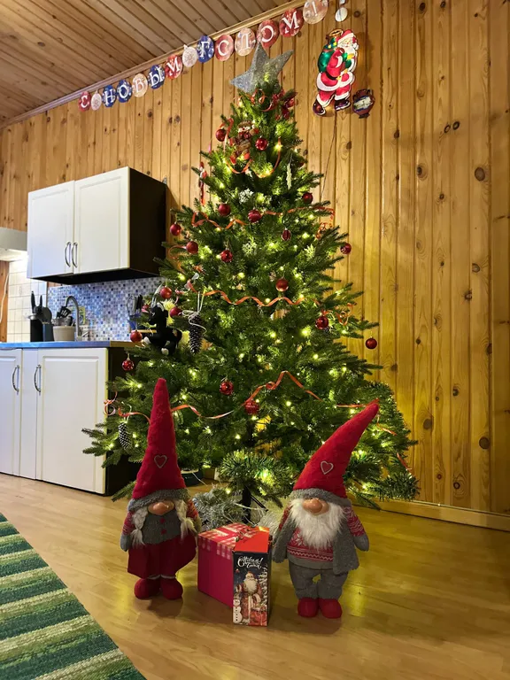 Дом c финской дровяной сауной и отдельной баней в Карелии