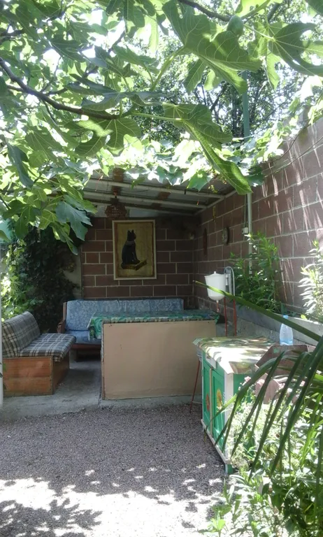 Дом с гранатовым деревом