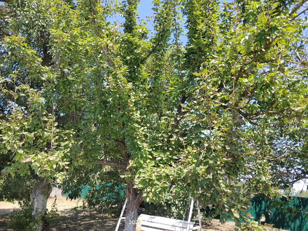 Уютный новый домик с садом на Азовском море