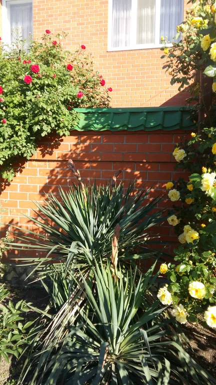 Уютный просторный дом на Крутой