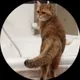Виталий