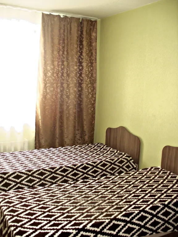 Двухкомнатные апартаменты в деловом центре города