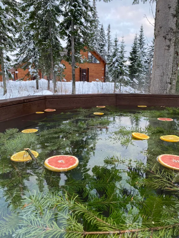 Коттедж Кедровый дом в лесу с панорамным окном и красивым видом на горы — Шерегеш