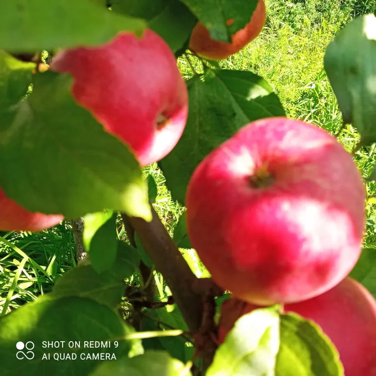 Дом с видом на реку