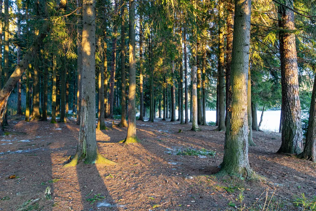 Усадьба у озера