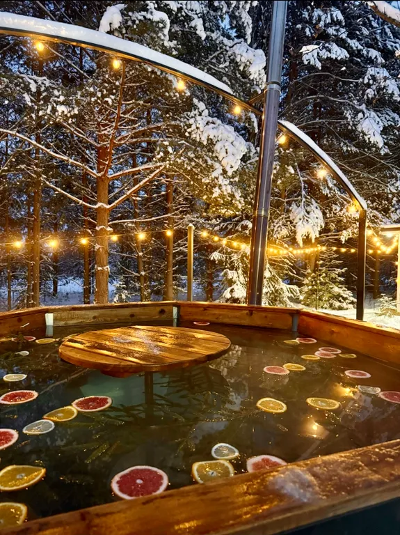 Уникальный купольный дом среди хвойного леса