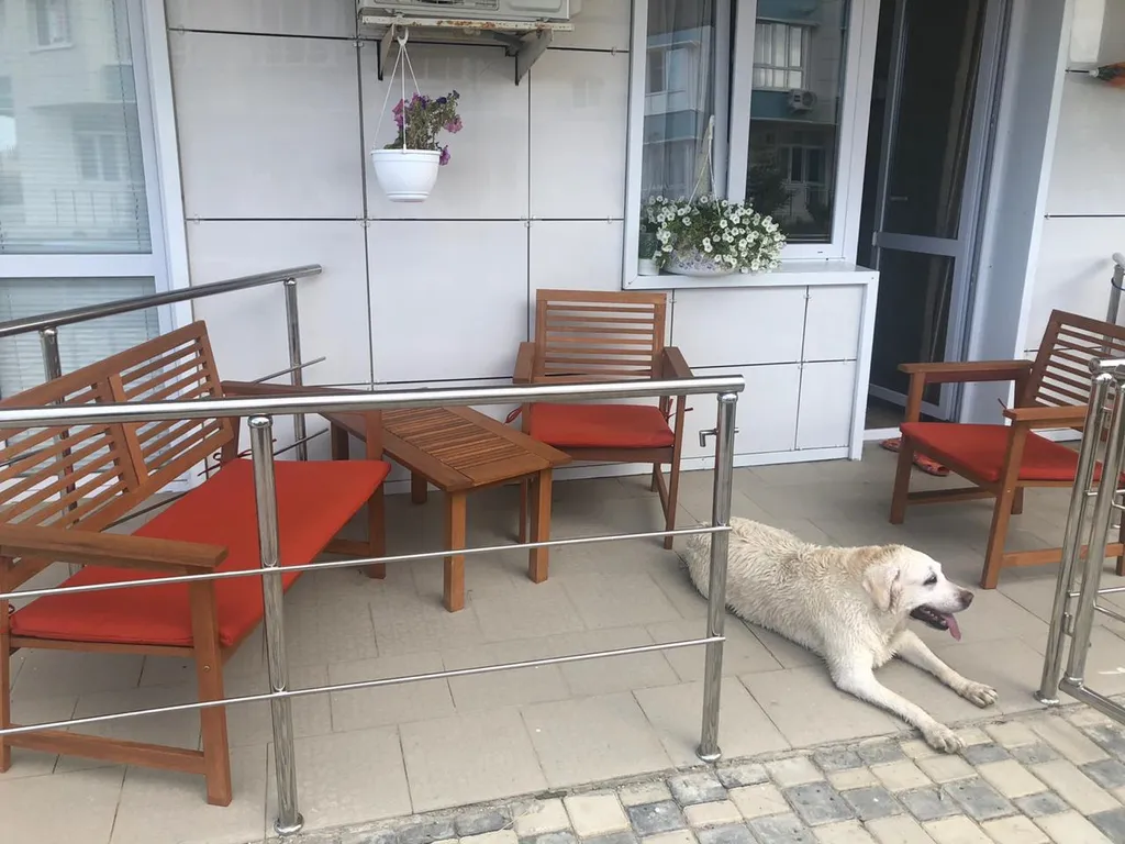 Квартира 1-комнатная Квартира — Севастополь