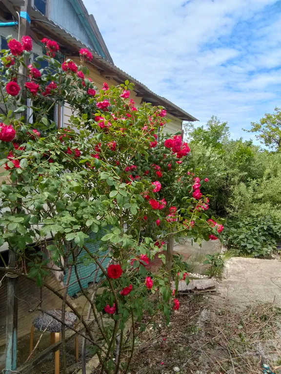 Коттедж 2-комнатный Дом — Макопсе