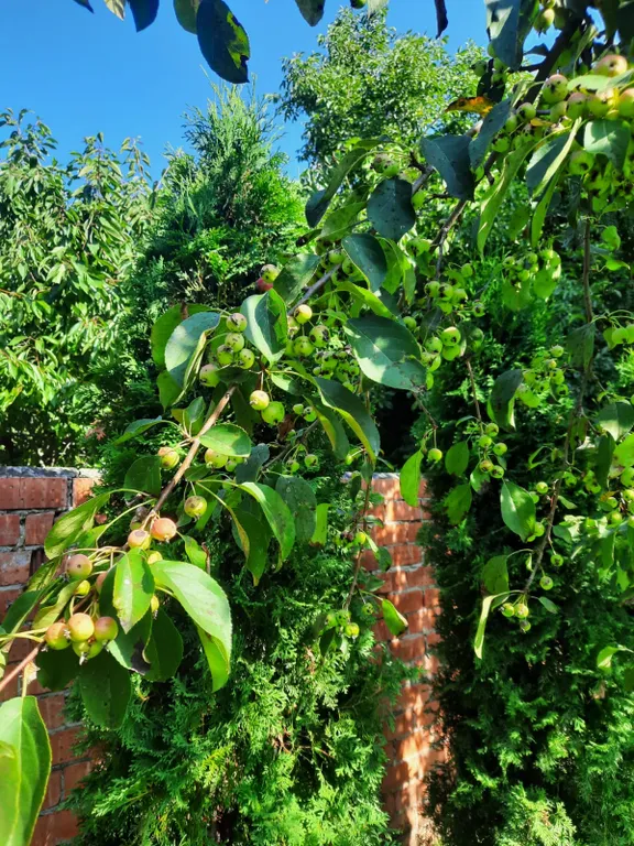 Домик с видом на санаторий