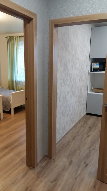 Квартира 1-комнатная Квартира — Луга