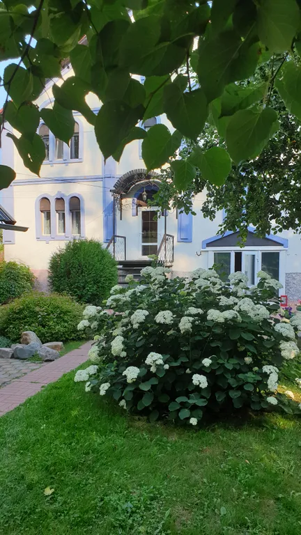 В гостях у художников