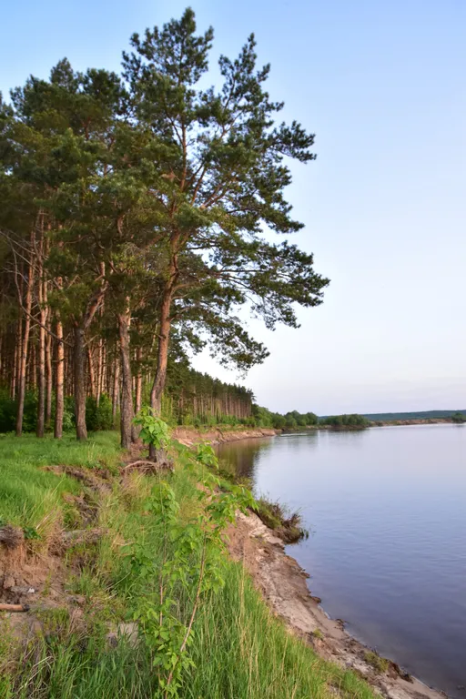 Коттедж Дом-шале Подсолнухи — Луховицы