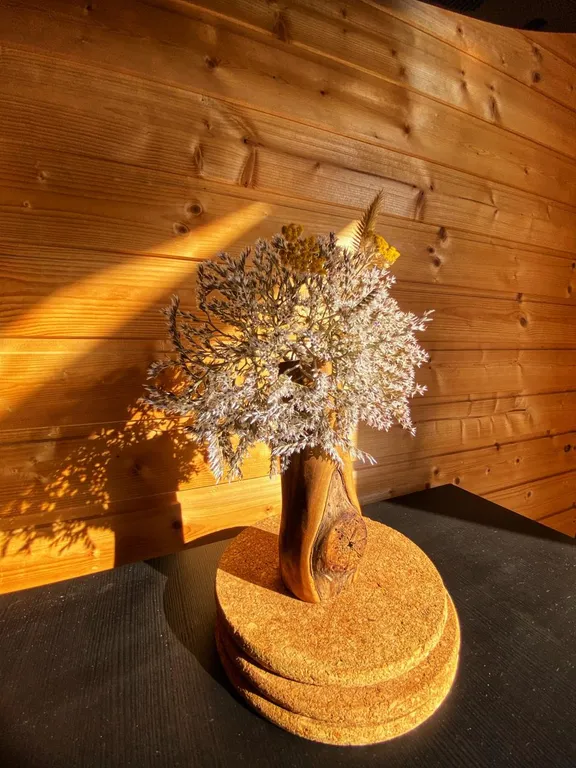 Апартаменты под маяком на берегу мыса Тарханкут