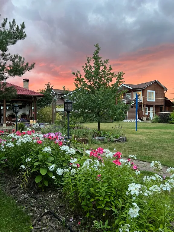 Дом у соснового леса