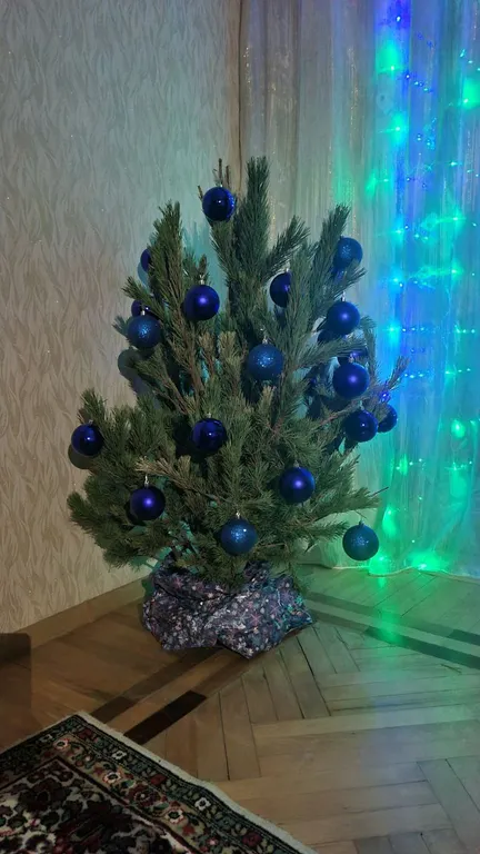 Уютная квартира с прекрасным видом на горы