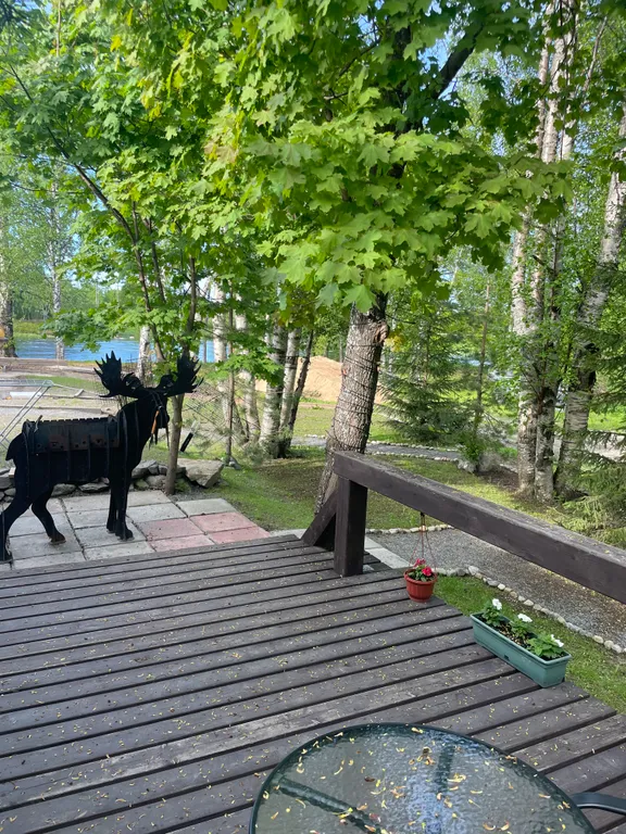 Отдых в тишине у реки