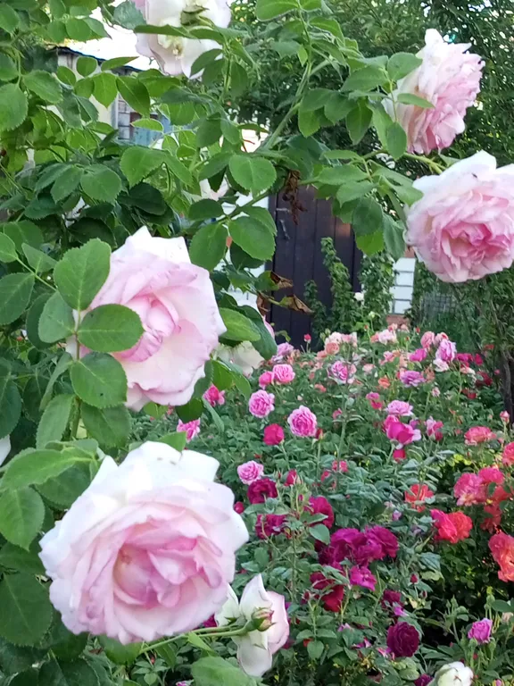 Уютная дача посуточно для семейного отдыха, ночлега