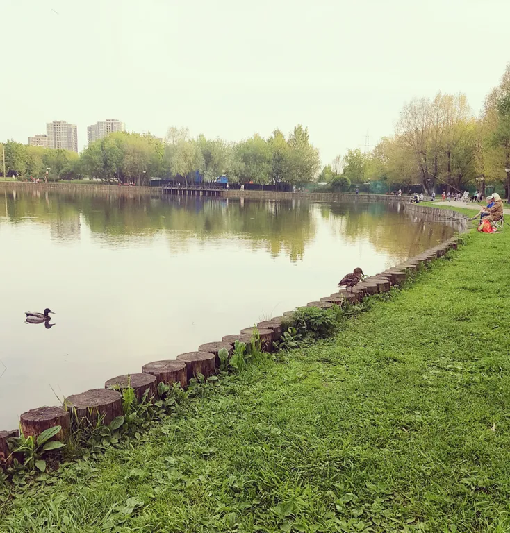 Квартира Уютная квартира рядом с метро Зюзино — Москва