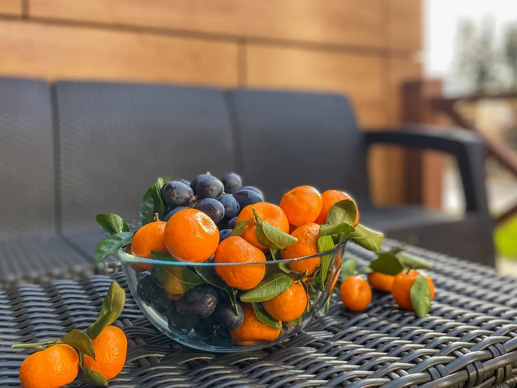 Дизайнерская студия с верандой