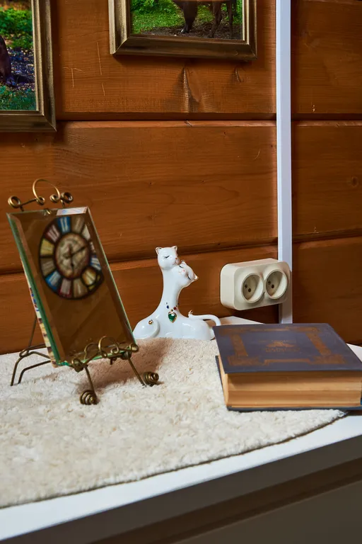 Winter country house and SPA