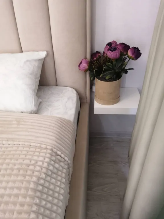 Уютные апартаменты на Толстого 2