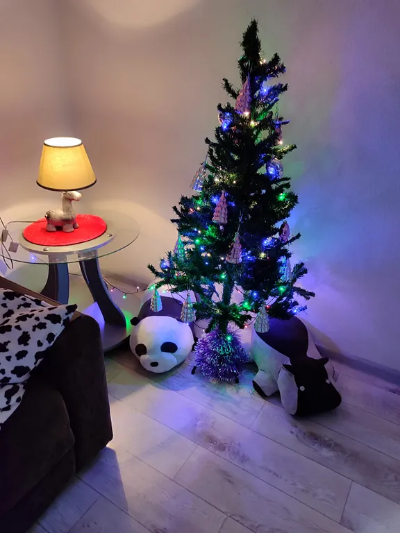 2-комнатная квартира в центре города