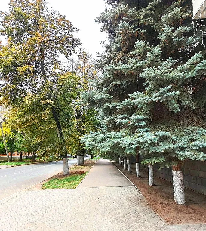 Удобная квартира в центре города