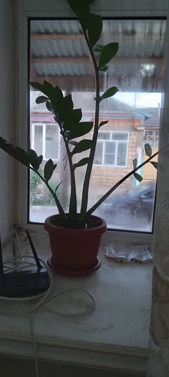 Коттедж Частный домик со двором в центре города — Дербент