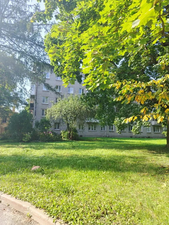 Квартира Уютная квартира в центре Пушкина — Пушкин