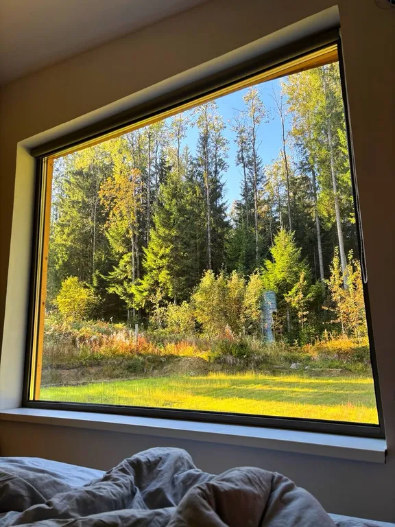 Домик у леса