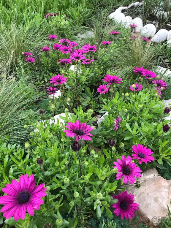 Квартира Делюкс-комната в лучшем районе Чёрного моря — Сириус