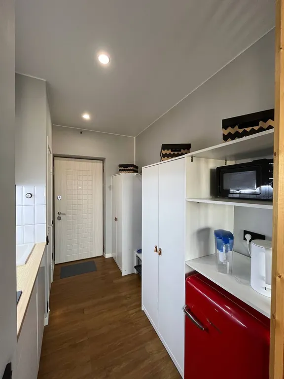 Deluxe King Studio для 3 гостей в МФК Созвездие