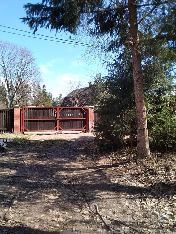 Домик у леса