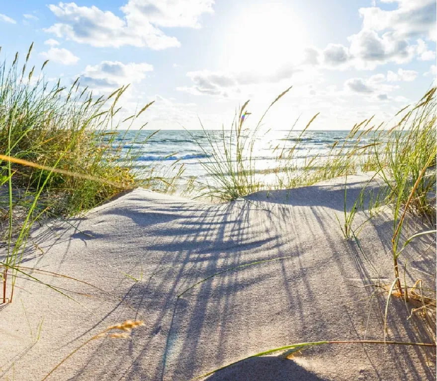 Квартира на первой линии от моря